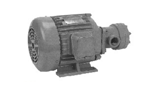 Fixed Displacement Vane Pumps & Motor Set